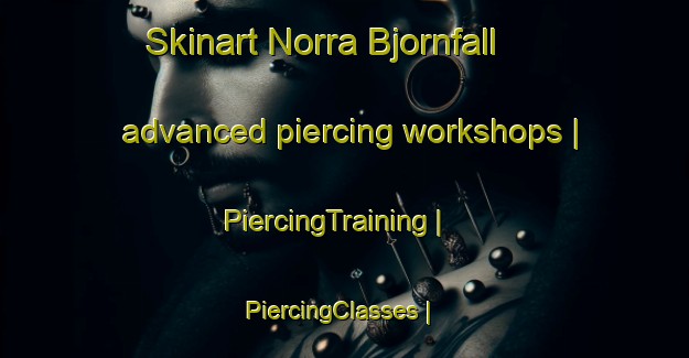 Skinart Norra Bjornfall advanced piercing workshops | PiercingTraining | PiercingClasses | SkinartTraining-Sweden